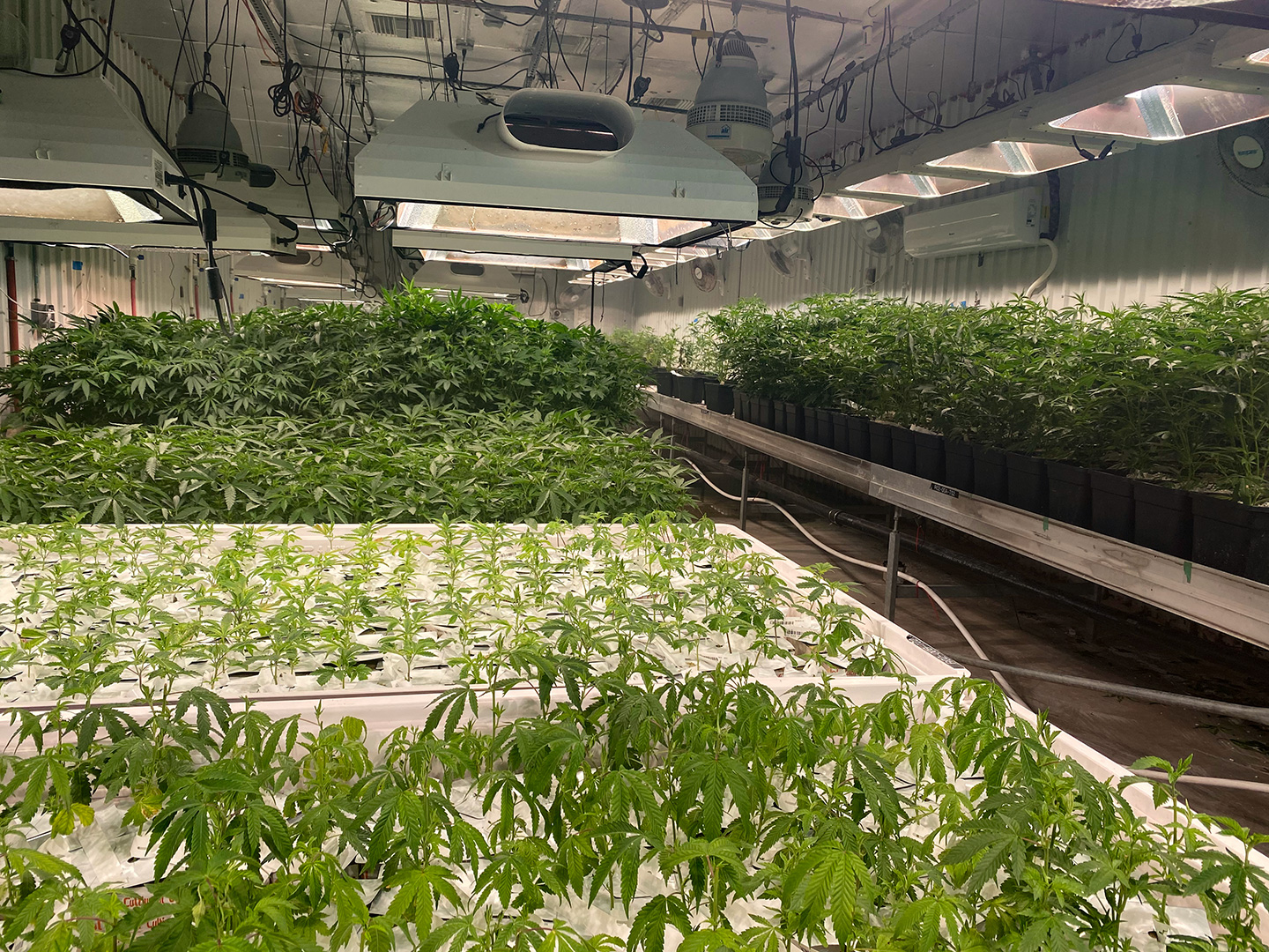 Medical Grow Facility Surveillance